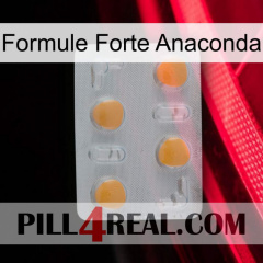 Anaconda Strong Formula 24